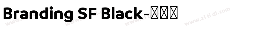 Branding SF Black字体转换